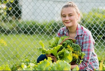 Supercharge Your Immune System  With Fresh Vegetables